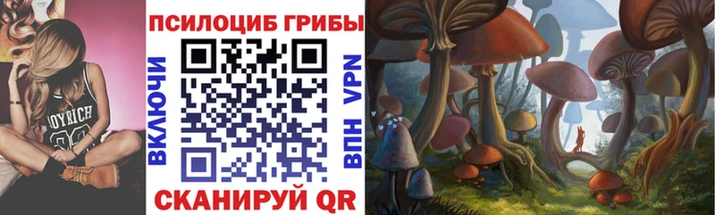 Псилоцибиновые грибы Psilocybine cubensis Устюжна