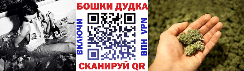 сколько стоит  Устюжна  Бошки Шишки марихуана 
